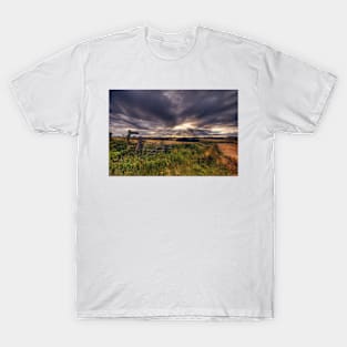 Path to Whispering Wood T-Shirt